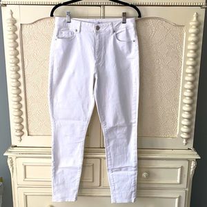 Curvy High Waist Skinny Ankle